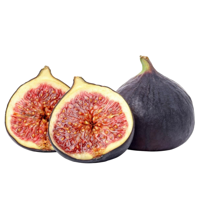 Fichi